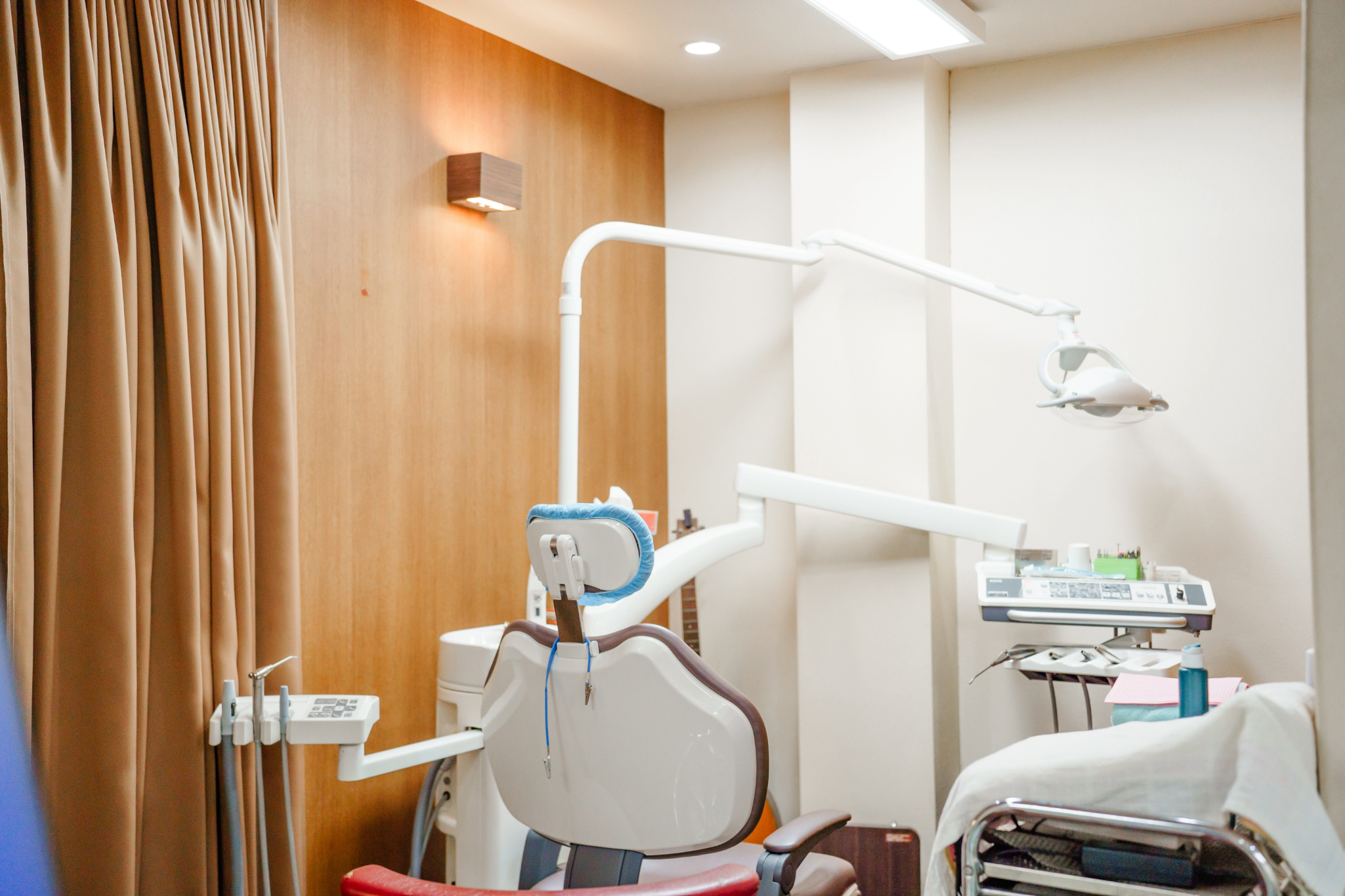 金属床（歯数による）